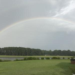 Photo of SOLD!!  187 Acres of Farm and Residential Land For Sale in Robeson County NC!