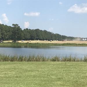Photo of SOLD!!  187 Acres of Farm and Residential Land For Sale in Robeson County NC!