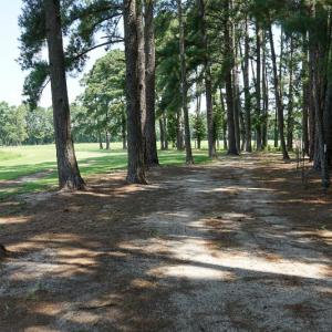 Photo of SOLD!!  187 Acres of Farm and Residential Land For Sale in Robeson County NC!
