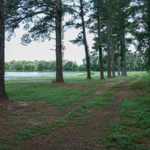 Photo of SOLD!!  187 Acres of Farm and Residential Land For Sale in Robeson County NC!