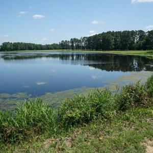 Photo of SOLD!!  187 Acres of Farm and Residential Land For Sale in Robeson County NC!