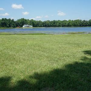 Photo of SOLD!!  187 Acres of Farm and Residential Land For Sale in Robeson County NC!