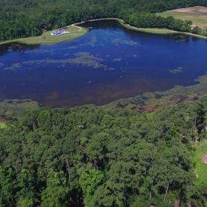 Photo of SOLD!!  187 Acres of Farm and Residential Land For Sale in Robeson County NC!