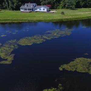 Photo of SOLD!!  187 Acres of Farm and Residential Land For Sale in Robeson County NC!