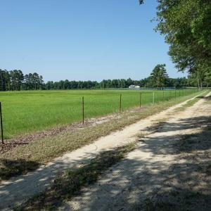 Photo of SOLD!!  187 Acres of Farm and Residential Land For Sale in Robeson County NC!