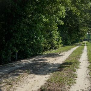 Photo of SOLD!!  187 Acres of Farm and Residential Land For Sale in Robeson County NC!