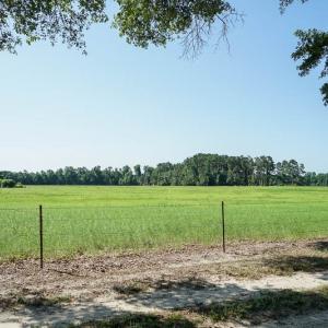 Photo of SOLD!!  187 Acres of Farm and Residential Land For Sale in Robeson County NC!