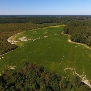 Photo of UNDER CONTRACT!  90.5 Acres of Farm and Hunting Land For Sale in Hertford County NC!