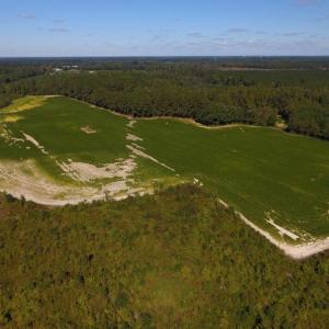 Photo of UNDER CONTRACT!  90.5 Acres of Farm and Hunting Land For Sale in Hertford County NC!
