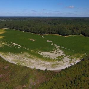 Photo of UNDER CONTRACT!  90.5 Acres of Farm and Hunting Land For Sale in Hertford County NC!