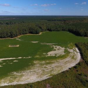 Photo of UNDER CONTRACT!  90.5 Acres of Farm and Hunting Land For Sale in Hertford County NC!