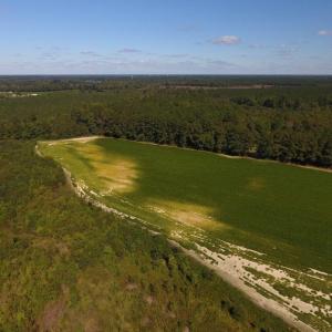 Photo of UNDER CONTRACT!  90.5 Acres of Farm and Hunting Land For Sale in Hertford County NC!