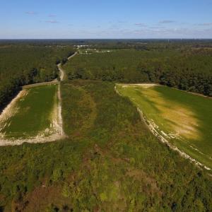 Photo of UNDER CONTRACT!  90.5 Acres of Farm and Hunting Land For Sale in Hertford County NC!