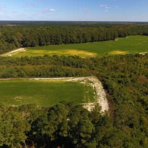 Photo of UNDER CONTRACT!  90.5 Acres of Farm and Hunting Land For Sale in Hertford County NC!