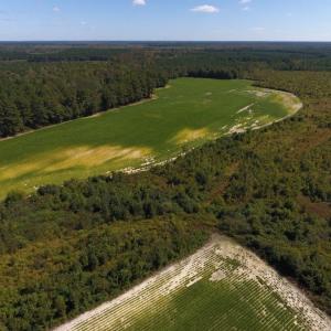 Photo of UNDER CONTRACT!  90.5 Acres of Farm and Hunting Land For Sale in Hertford County NC!