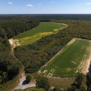 Photo of UNDER CONTRACT!  90.5 Acres of Farm and Hunting Land For Sale in Hertford County NC!