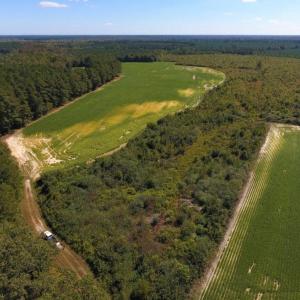 Photo of UNDER CONTRACT!  90.5 Acres of Farm and Hunting Land For Sale in Hertford County NC!