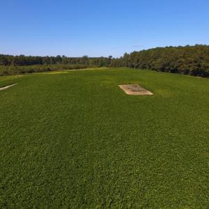 Photo of UNDER CONTRACT!  90.5 Acres of Farm and Hunting Land For Sale in Hertford County NC!