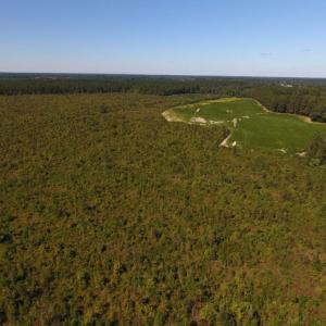 Photo of UNDER CONTRACT!  90.5 Acres of Farm and Hunting Land For Sale in Hertford County NC!