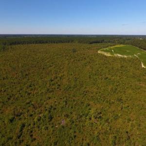 Photo of UNDER CONTRACT!  90.5 Acres of Farm and Hunting Land For Sale in Hertford County NC!