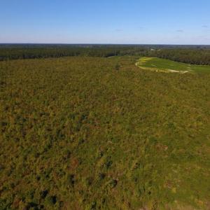 Photo of UNDER CONTRACT!  90.5 Acres of Farm and Hunting Land For Sale in Hertford County NC!