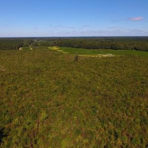 Photo of UNDER CONTRACT!  90.5 Acres of Farm and Hunting Land For Sale in Hertford County NC!