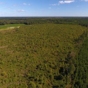 Photo of UNDER CONTRACT!  90.5 Acres of Farm and Hunting Land For Sale in Hertford County NC!