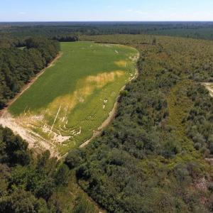 Photo of UNDER CONTRACT!  90.5 Acres of Farm and Hunting Land For Sale in Hertford County NC!