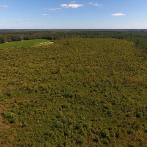Photo of UNDER CONTRACT!  90.5 Acres of Farm and Hunting Land For Sale in Hertford County NC!