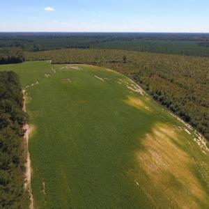 Photo of UNDER CONTRACT!  90.5 Acres of Farm and Hunting Land For Sale in Hertford County NC!