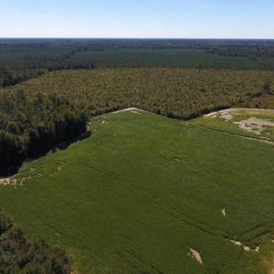 Photo of UNDER CONTRACT!  90.5 Acres of Farm and Hunting Land For Sale in Hertford County NC!