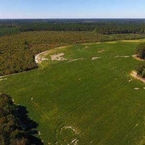 Photo of UNDER CONTRACT!  90.5 Acres of Farm and Hunting Land For Sale in Hertford County NC!