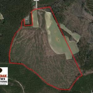 Photo of UNDER CONTRACT!  90.5 Acres of Farm and Hunting Land For Sale in Hertford County NC!