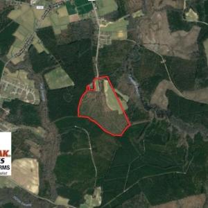 Photo of UNDER CONTRACT!  90.5 Acres of Farm and Hunting Land For Sale in Hertford County NC!