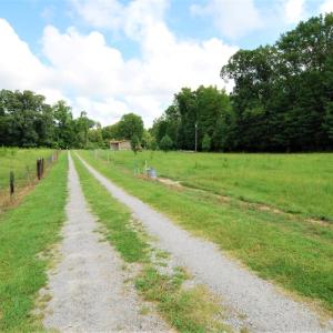 Photo of UNDER CONTRACT!  85 Acres of Farm Land For Sale in Pitt County NC!