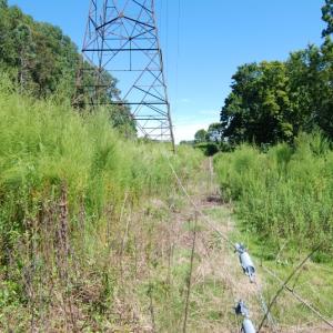 Photo of UNDER CONTRACT!  85 Acres of Farm Land For Sale in Pitt County NC!