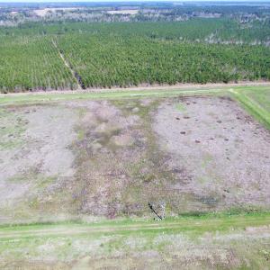 Photo of UNDER CONTRACT!  89 Acres of Aquaculture Farm Land For Sale In Craven County NC!