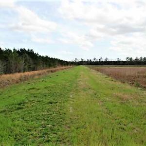 Photo of UNDER CONTRACT!  89 Acres of Aquaculture Farm Land For Sale In Craven County NC!
