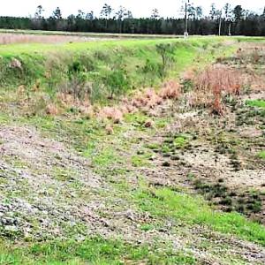Photo of UNDER CONTRACT!  89 Acres of Aquaculture Farm Land For Sale In Craven County NC!