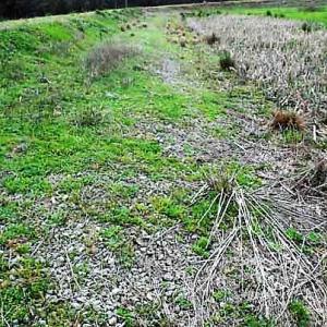 Photo of UNDER CONTRACT!  89 Acres of Aquaculture Farm Land For Sale In Craven County NC!