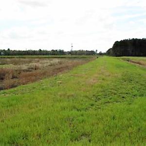 Photo of UNDER CONTRACT!  89 Acres of Aquaculture Farm Land For Sale In Craven County NC!