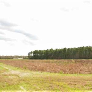 Photo of UNDER CONTRACT!  89 Acres of Aquaculture Farm Land For Sale In Craven County NC!
