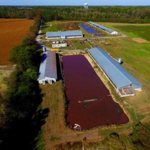Photo of SOLD!!  118 Acre Livestock Farming Operation for Sale in Nash County NC!
