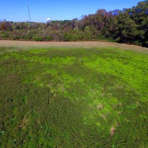 Photo of SOLD!!  118 Acre Livestock Farming Operation for Sale in Nash County NC!
