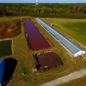 Photo of SOLD!!  118 Acre Livestock Farming Operation for Sale in Nash County NC!