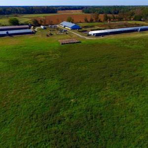 Photo of SOLD!!  118 Acre Livestock Farming Operation for Sale in Nash County NC!