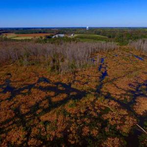 Photo of SOLD!!  118 Acre Livestock Farming Operation for Sale in Nash County NC!