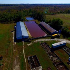 Photo of SOLD!!  118 Acre Livestock Farming Operation for Sale in Nash County NC!