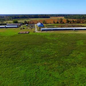 Photo of SOLD!!  118 Acre Livestock Farming Operation for Sale in Nash County NC!