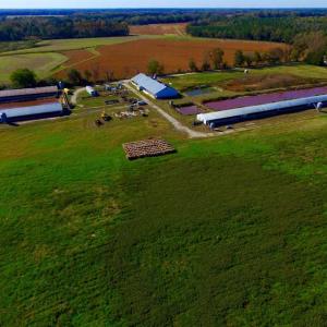 Photo of SOLD!!  118 Acre Livestock Farming Operation for Sale in Nash County NC!